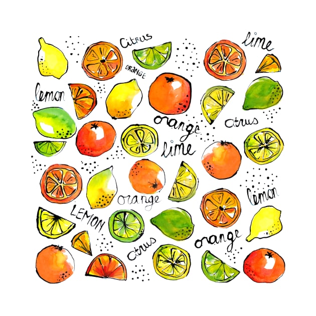 Citrus fruit lime orange lemon sketches food illustration by kittyvdheuvel