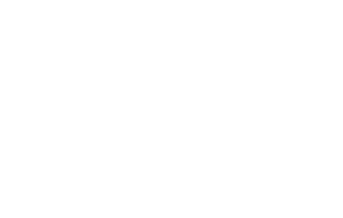 Idiot Congress Mark Twain Quote White Text Magnet