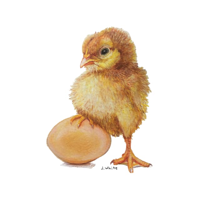 Baby Chick with Egg by jenesaiscluck