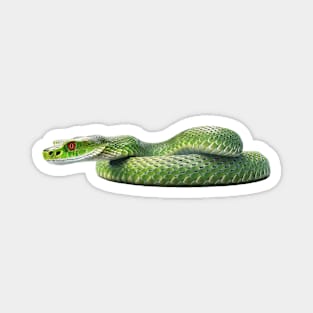 Green Tree Python Awaits Magnet