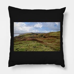 Torver Back Common Pillow