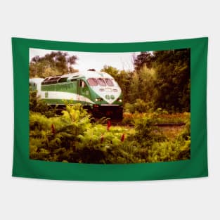 Go Train On Tracks 5 Tapestry