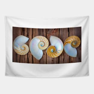 Four Chambered Nautilus Seashells Tapestry