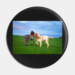 Sausage Wars Spinone Pin