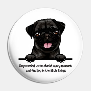 Dogs remind us to cherish every moment  and find joy in the little things Pin