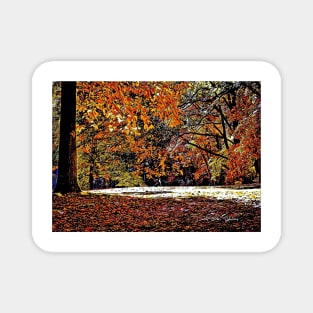 Trees In The Fall – Graphic 3 Magnet