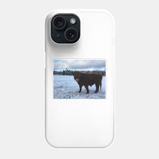 Scottish Highland Cattle Bull 1913 Phone Case