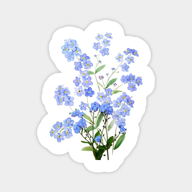 blue forget me not 2024 Magnet by colorandcolor