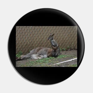 Wallaby and Joey Pin