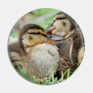 Duckling Pin