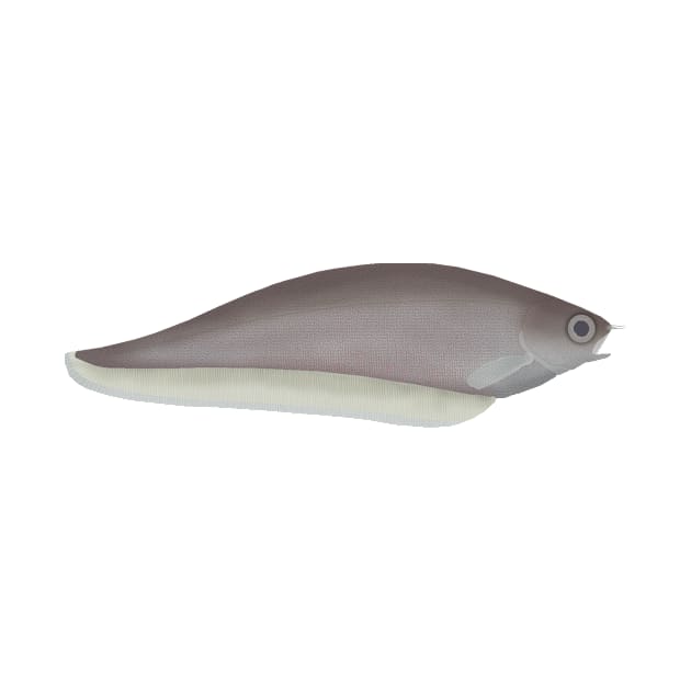 African Knifefish by FishFolkArt