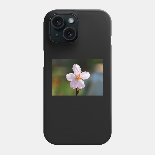 Almond Blossom Phone Case by jojobob