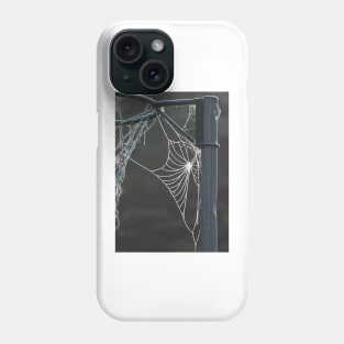 Frosty cobweb Phone Case