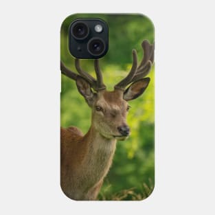 stag 5 Phone Case