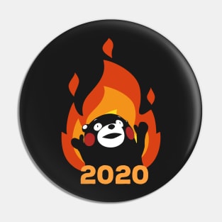 For the Glory of 2020 of Course! Pin