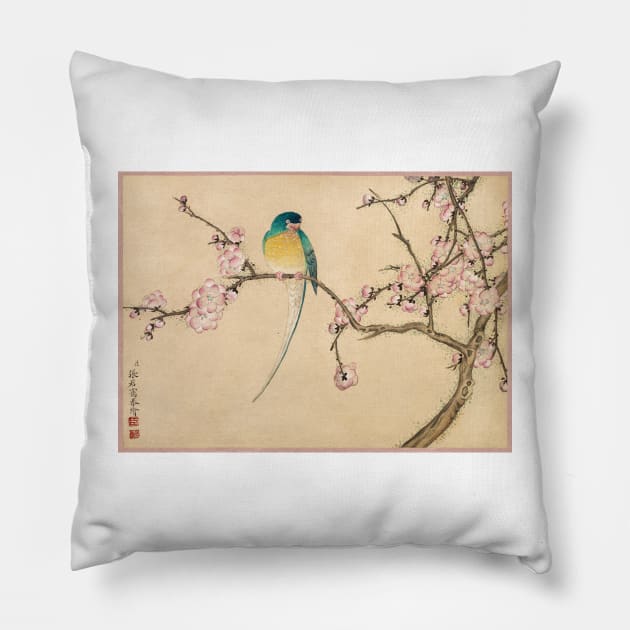 Bird with Plum Blossoms by Zhang Ruoai Pillow by Oldetimemercan