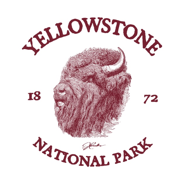 Yellowstone National Park, Tough Old Bison by jcombs