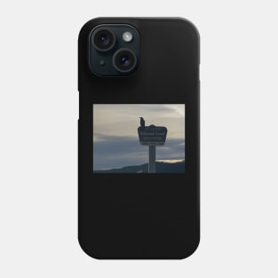 Mt hood beauty Phone Case