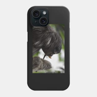 Three-toed  Sloth Phone Case