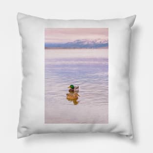Mallard Ducks on Winter Sunset Lake Pillow