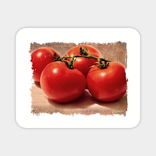 Vintage Grunge Tomatoes Magnet