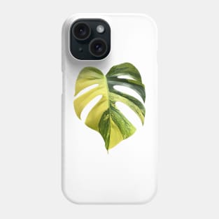 Colorful Variegated Monstera Deliciousa Aurea Design Phone Case