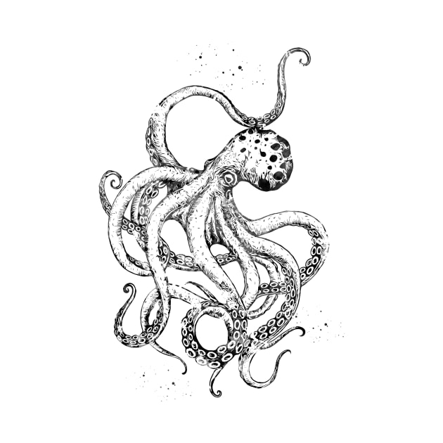 Octopus by erzebeth