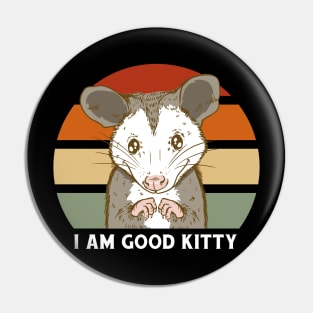 Im A Good Kitty Cute Opossum Pin