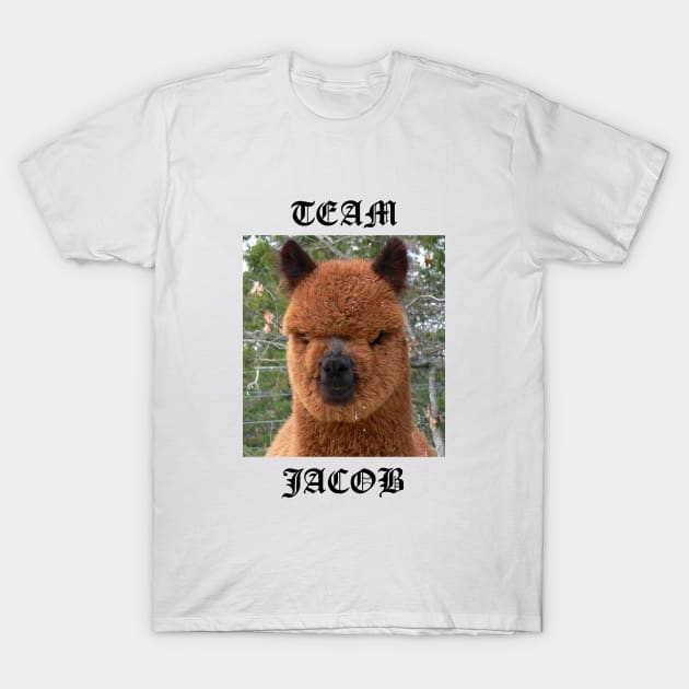 Team Jacob Twilight T-Shirt