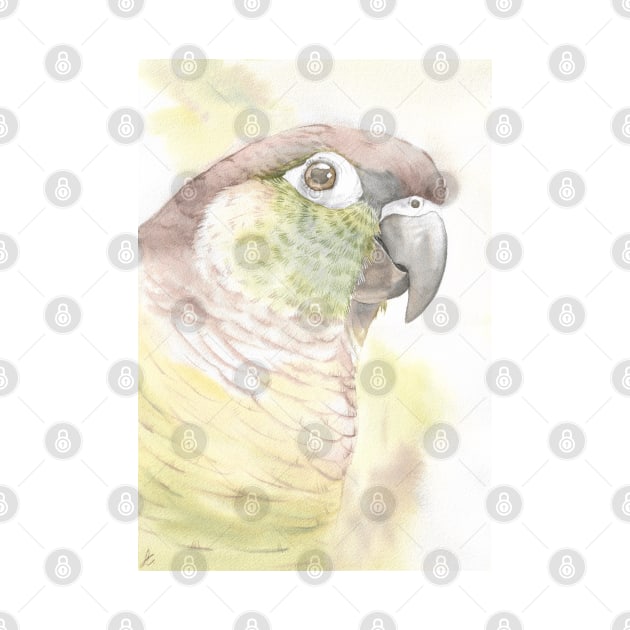 Green-cheeked parakeet watercolor portrait bird parrot by Oranjade0122