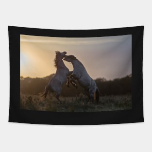 Sunset Power, Inc. Tapestry