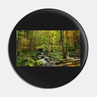 Autumn River Pin