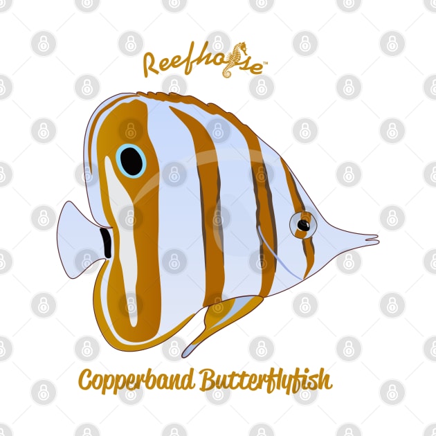 Copperband Butterflyfish by Reefhorse