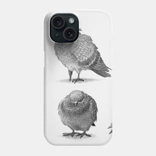 Pirate Pigeons Phone Case