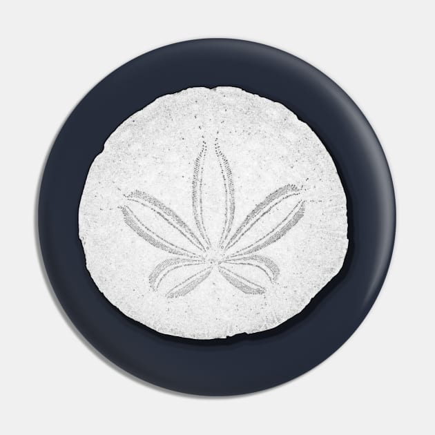 Sand Dollar Graphic Design Pin by StephJChild