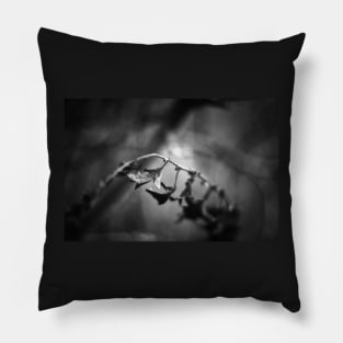 Out of the Shadows Pillow