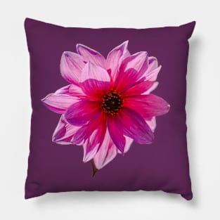 Dahlia flower Pillow