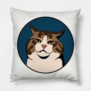 Disappointed Cat - Funny Animal Design Pillow