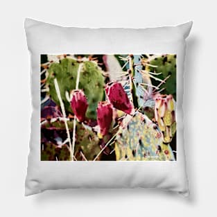 Texas Cactus Fantasy Pillow