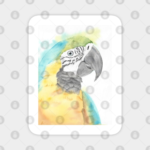 blue and gold macaw watercolor portrait bird parrot Magnet by Oranjade0122