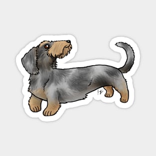 Dog - Wire-Haired Dachshund - Dapple Magnet