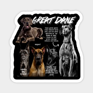 Great Dane Fun Facts Magnet