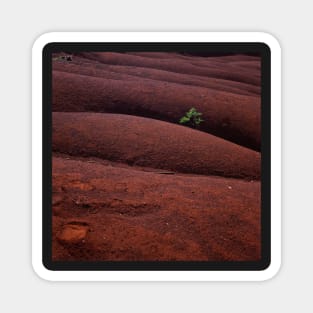 Red landscape Magnet