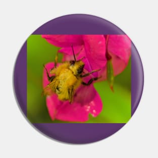 BEE PASSION Pin