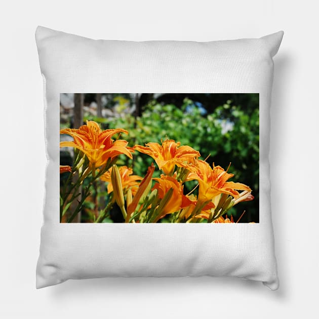 Wild Orange Lilies Pillow by jojobob