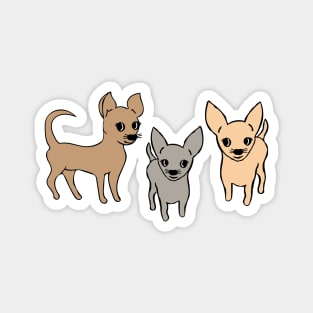 Chihuahua chihuahuas Magnet