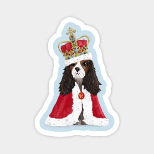 His Majesty King Charles Fun Coronation Souvenir on blue Magnet