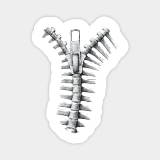 Unzipped Spine Magnet