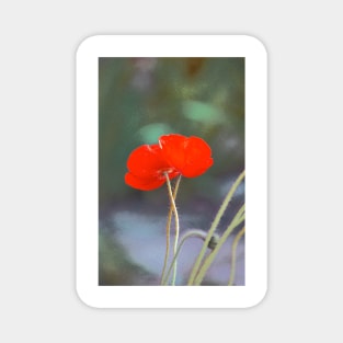 Poppy 27 Magnet