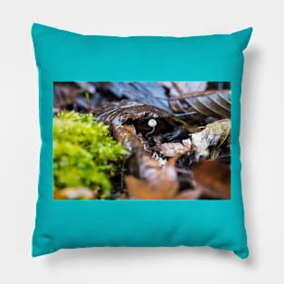 A small mushroom in the swamp. Pillow